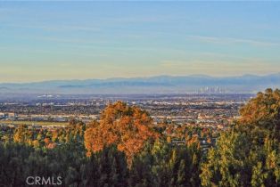 Single Family Residence, 57 Saddleback rd, Rolling Hills, CA 90274 - 9