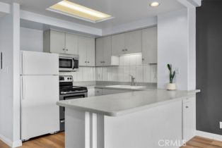 Condominium, 969 Hilgard ave, Westwood, CA 90024 - 10