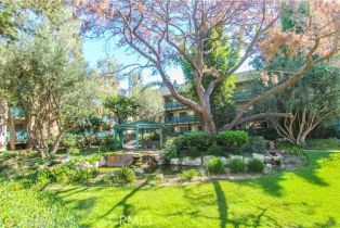 Condominium, 564 Bellflower blvd, Long Beach, CA 90814 - 34