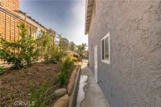 Single Family Residence, 980 Loyola, Anaheim Hills, CA 92807 - 41