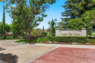 Single Family Residence, 5110 Copa De Oro dr, Anaheim Hills, CA 92807 - 65