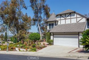 Single Family Residence, 6033 Rocking Horse way, Orange, CA 92869 - 44