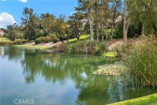 Single Family Residence, 7716 Twinleaf trl, Orange, CA 92869 - 29