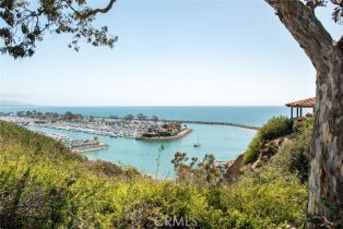 Single Family Residence, 15 New York ct, Dana Point, CA 92629 - 36