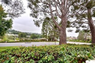 Condominium, 904 Country Glen way, Anaheim Hills, CA 92808 - 25