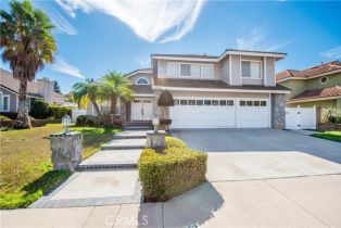 Residential Lease, 28010 Blackberry WAY, CA  , CA 92887