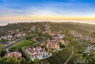 Single Family Residence, 7 Seahaven, Newport Coast, CA 92657 - 51