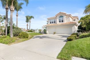 Single Family Residence, 29542 Alta Terra, Laguna Niguel, CA 92677 - 66