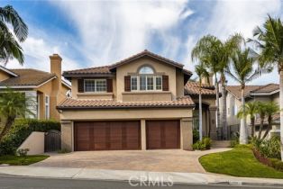 Single Family Residence, 917 Wildrose ln, Anaheim Hills, CA 92808 - 2