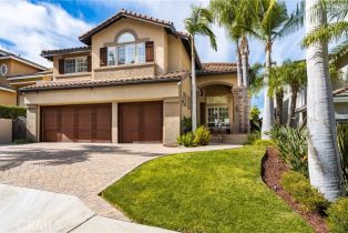 Single Family Residence, 917 Wildrose ln, Anaheim Hills, CA 92808 - 3