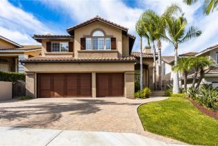 Single Family Residence, 917 Wildrose ln, Anaheim Hills, CA 92808 - 4