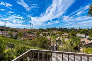 Single Family Residence, 917 Wildrose ln, Anaheim Hills, CA 92808 - 49