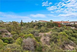 Single Family Residence, 521 Avenida De Los Lobos Marinos, San Clemente, CA 92672 - 20