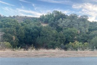 Land, 0  S Skyline Dr DR, Thousand Oaks, CA  Thousand Oaks, CA 91361