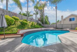 Single Family Residence, 17440 Olive Tree cir, Yorba Linda, CA 92886 - 26