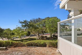 Condominium, 24432 Moonfire dr, Dana Point, CA 92629 - 45