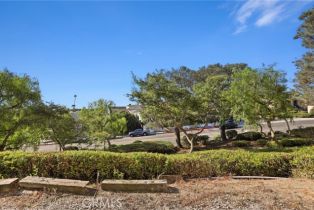 Condominium, 24432 Moonfire dr, Dana Point, CA 92629 - 46