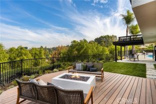 Single Family Residence, 260 Via Montanera, Anaheim Hills, CA 92807 - 53