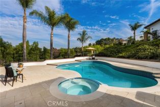 Single Family Residence, 260 Via Montanera, Anaheim Hills, CA 92807 - 56