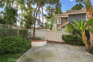 Single Family Residence, 24316 Andrea st, Laguna Hills, CA 92656 - 44