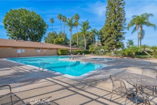 Condominium, 1706 Commonwealth ave, Fullerton, CA 92831 - 19