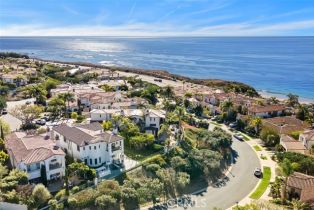 Single Family Residence, 4 Baffin bay, Newport Coast, CA 92657 - 43