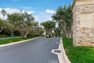 Single Family Residence, 4 Baffin bay, Newport Coast, CA 92657 - 52