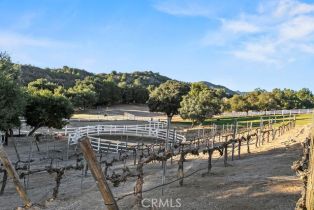 Single Family Residence, 40075 Avenida La Cresta, Murrieta, CA 92562 - 65