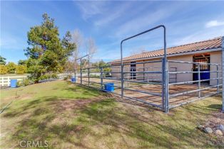 Single Family Residence, 38510 Calle De Lobo, Murrieta, CA 92562 - 38