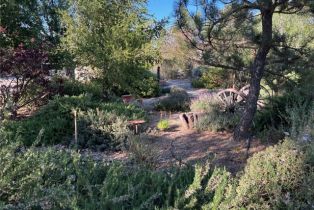 Single Family Residence, 38510 Calle De Lobo, Murrieta, CA 92562 - 52