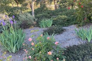 Single Family Residence, 38510 Calle De Lobo, Murrieta, CA 92562 - 53