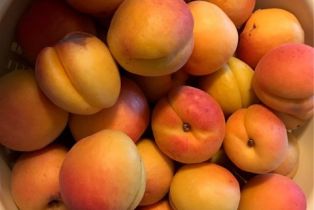 Single Family Residence, 38510 Calle De Lobo, Murrieta, CA 92562 - 54