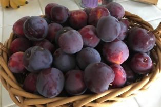 Single Family Residence, 38510 Calle De Lobo, Murrieta, CA 92562 - 55