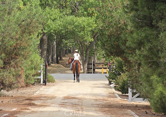 Single Family Residence, 38510 Calle De Lobo, Murrieta, CA 92562 - 1