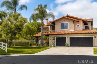 Single Family Residence, 31291 Via Fajita, San Juan Capistrano, CA 92675 - 3