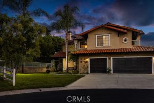 Single Family Residence, 31291 Via Fajita, San Juan Capistrano, CA 92675 - 4