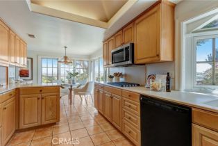 Single Family Residence, 29672 Quigley dr, Laguna Niguel, CA 92677 - 25