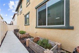 Condominium, 24253 Hazelnut ave, Murrieta, CA 92562 - 19