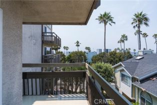 Condominium, 230 Catalina ave, Redondo Beach, CA 90277 - 7