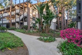 Condominium, 7740 Redlands st, Playa Del Rey , CA 90293 - 26