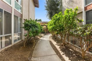 Condominium, 6435 Green Valley cir, Culver City, CA 90230 - 36