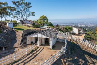 Single Family Residence, 13 Buggy Whip dr, Rolling Hills, CA 90274 - 74