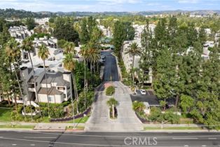 Condominium, 5525 Canoga AVE, Woodland Hills, CA  Woodland Hills, CA 91367