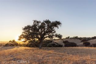 Single Family Residence, 2450 Long Canyon rd, Santa Ynez, CA 93460 - 14