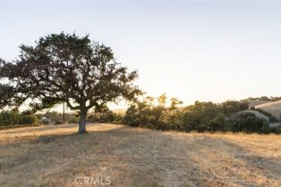 Single Family Residence, 2450 Long Canyon rd, Santa Ynez, CA 93460 - 17