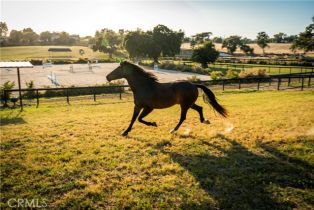 , 1977 San Marcos Pass rd, Santa Ynez, CA 93460 - 25