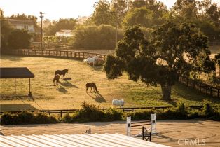 , 1977 San Marcos Pass rd, Santa Ynez, CA 93460 - 43