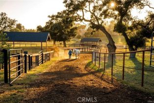 Single Family Residence, 1977 San Marcos Pass rd, Santa Ynez, CA 93460 - 10