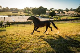 Single Family Residence, 1977 San Marcos Pass rd, Santa Ynez, CA 93460 - 25