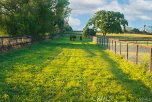 Single Family Residence, 1977 San Marcos Pass rd, Santa Ynez, CA 93460 - 35